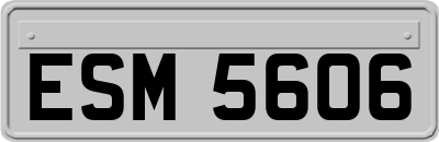 ESM5606