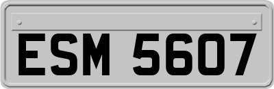 ESM5607
