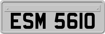 ESM5610