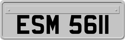 ESM5611