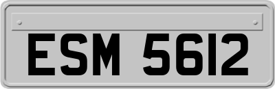 ESM5612