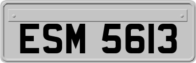 ESM5613
