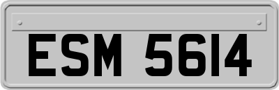 ESM5614