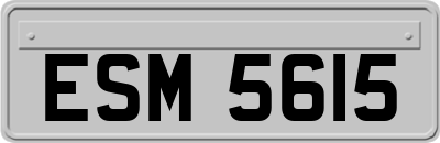 ESM5615