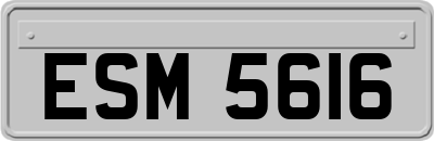 ESM5616