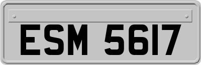 ESM5617