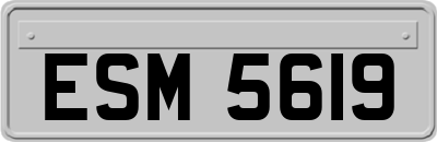 ESM5619