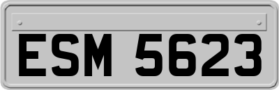 ESM5623