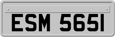 ESM5651