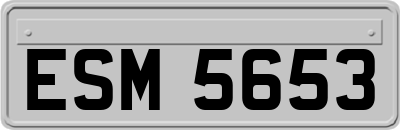 ESM5653