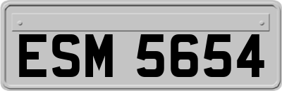 ESM5654