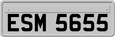 ESM5655