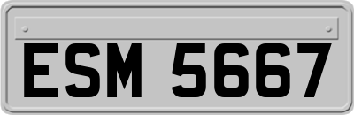 ESM5667