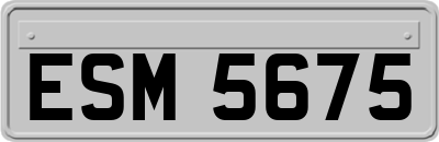 ESM5675