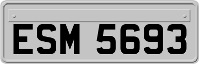 ESM5693