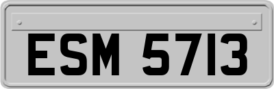 ESM5713