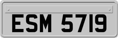 ESM5719