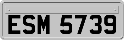 ESM5739
