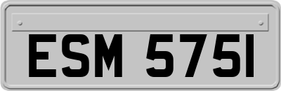 ESM5751