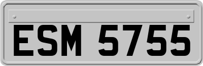 ESM5755