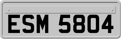 ESM5804