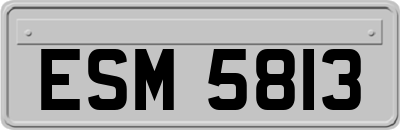 ESM5813