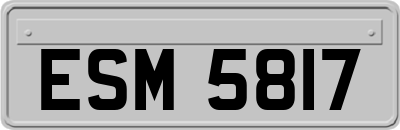 ESM5817
