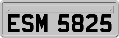 ESM5825