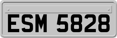 ESM5828