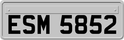ESM5852