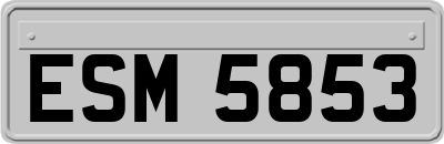 ESM5853