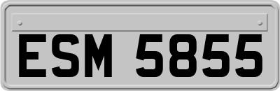 ESM5855