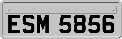 ESM5856