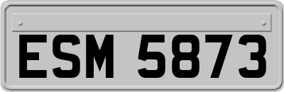 ESM5873