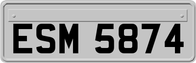 ESM5874