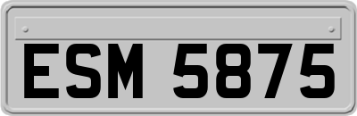 ESM5875