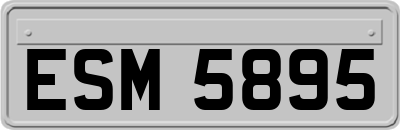 ESM5895