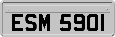 ESM5901