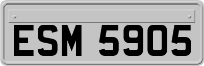 ESM5905