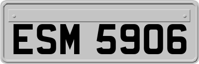 ESM5906