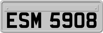 ESM5908