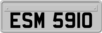 ESM5910