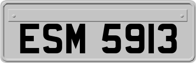 ESM5913