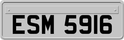 ESM5916
