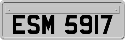 ESM5917