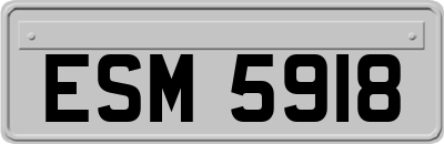 ESM5918