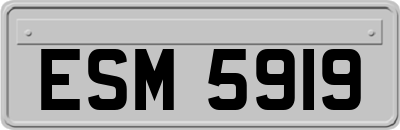 ESM5919