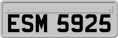 ESM5925