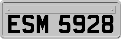 ESM5928