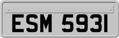 ESM5931